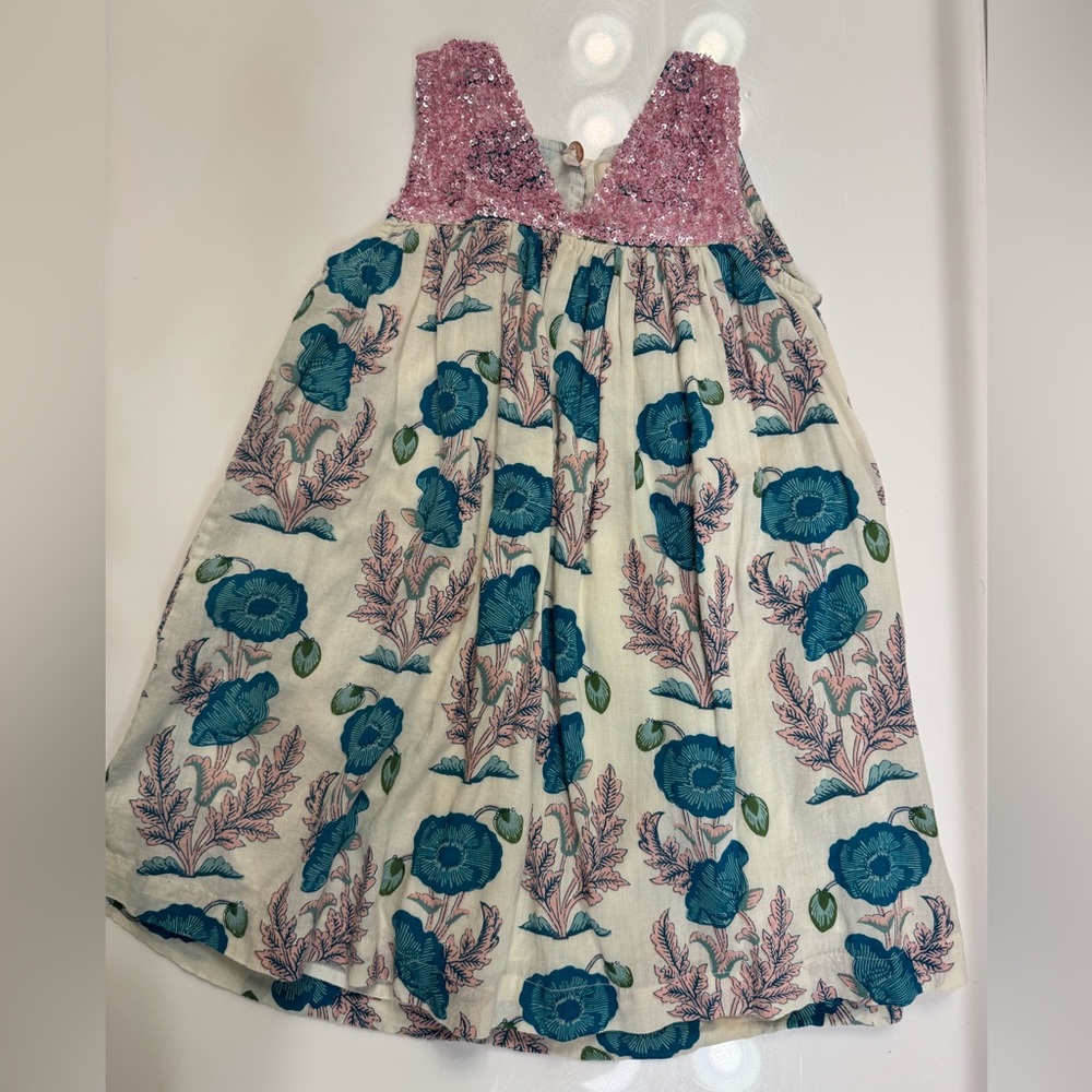 Pink Chicken Pink and Teal Dress with Floral Print